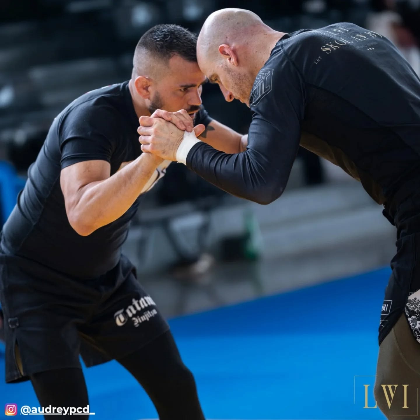 491453403 18029889077657689 9181678818023183120 N 1