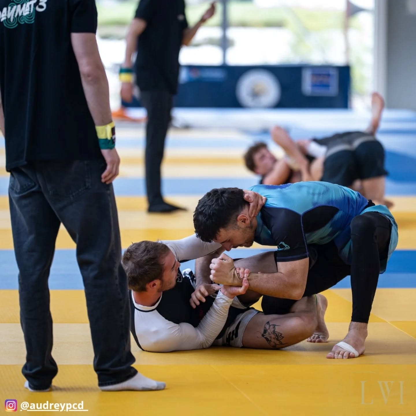 491462933 18029889086657689 4221074635916900267 N 1