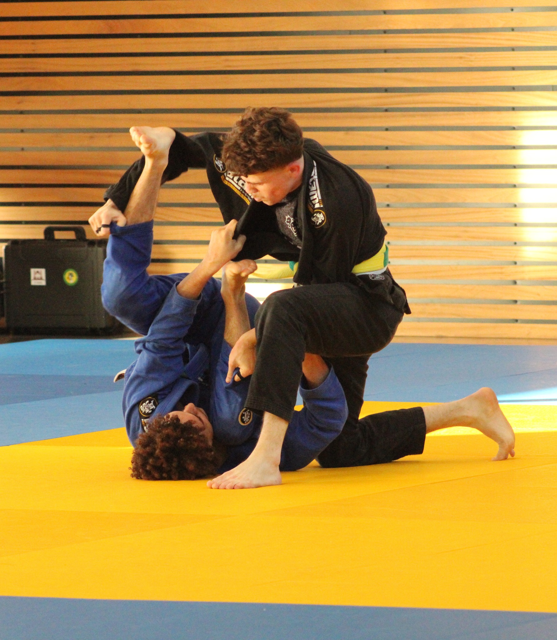 574393963 25978256008430077 2268840074022652652 N 1