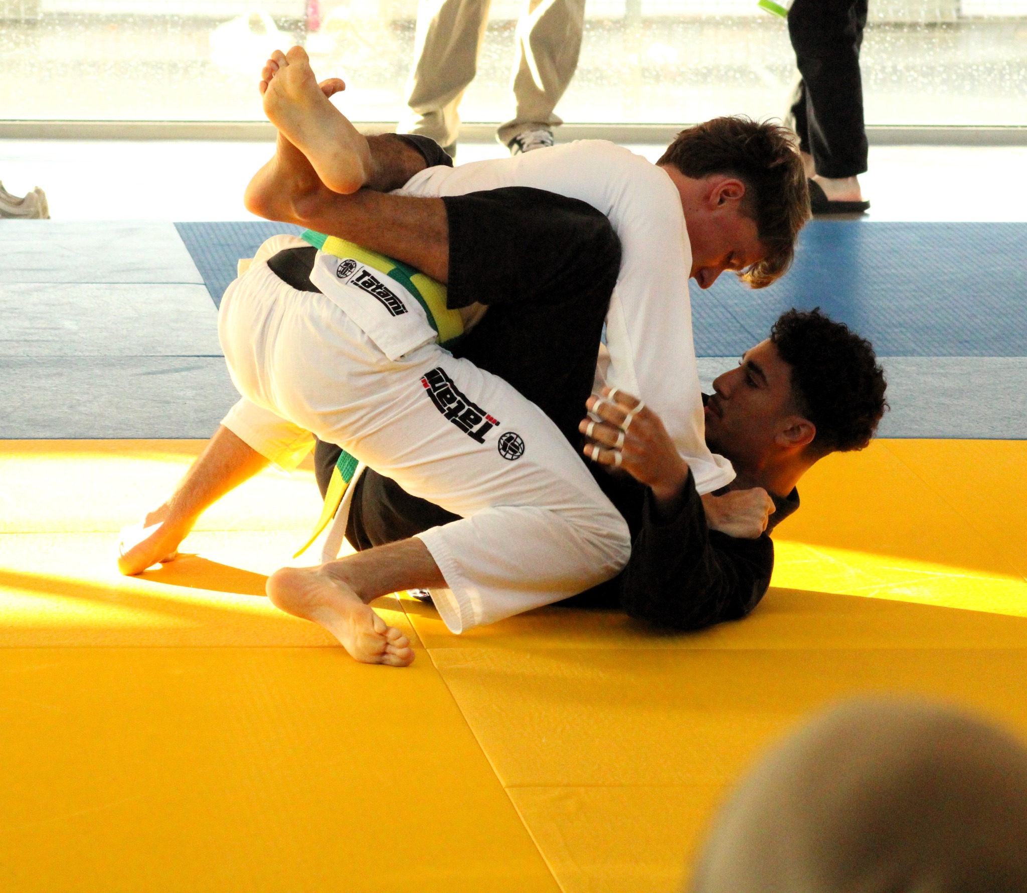 574570870 25978252041763807 4065665021084389914 N 1